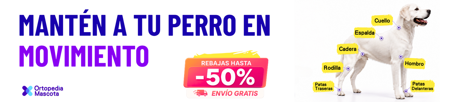 ortopediamascota.com