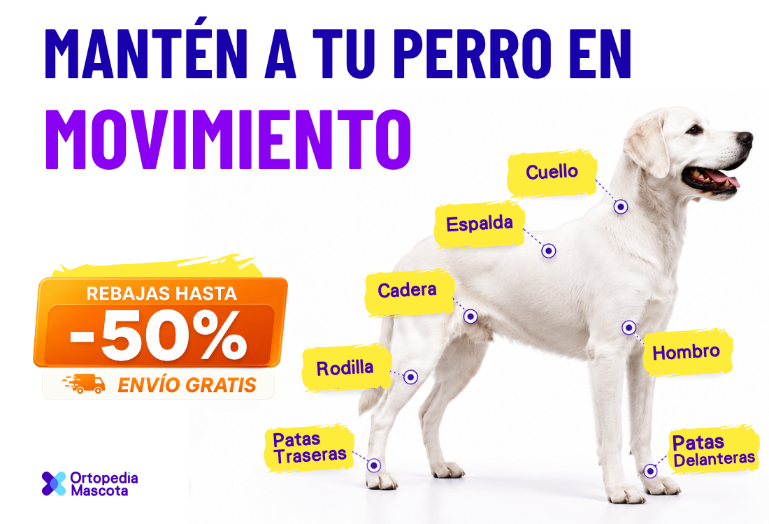 ortopediamascota.com